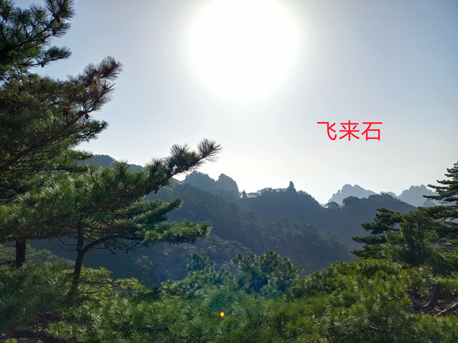 微信圖片_20230418112855.jpg 微信圖片_20230418112855.jpg